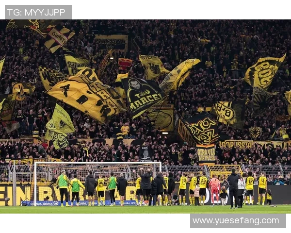 亚琛主场迎战多特蒙德期待一场精彩的德甲对决