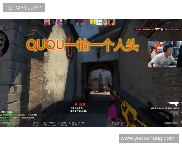 CSGO战术解析：深入探讨LNG战队的游戏意识与团队协作策略